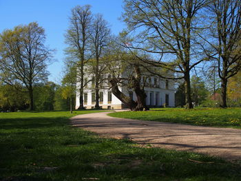 Road amidst trees and buildings against sky