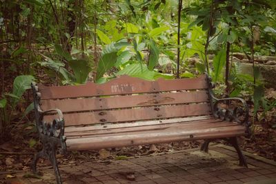 Empty bench in park