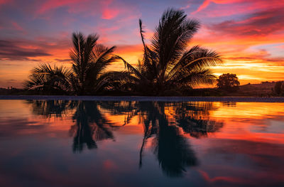 Silhouette palm trees by lake against romantic sky at sunset