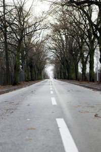 Empty road along trees