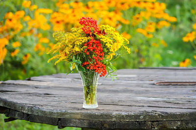 Close-up of orange flowering plant