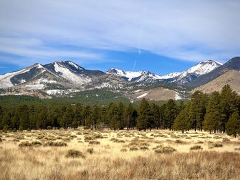 Golden valley with pine trees and snow capped mountain peaks in flagstaff, arizona