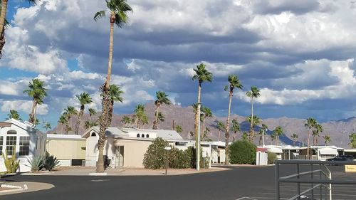 Palm trees by road against cloudy sky