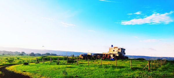 Scenic view of agricultural field against sky