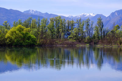 Scenic view of lake by mountains against sky