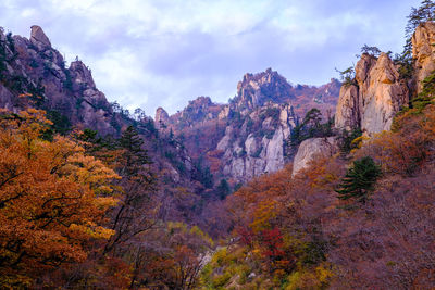 scenics - nature