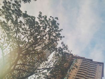 Low angle view of tree against cloudy sky