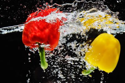 High angle view of red and yellow water on black background