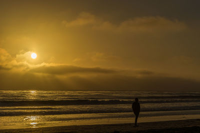 Silhouette man on beach against sky during sunset