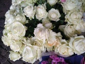 Close-up of white roses