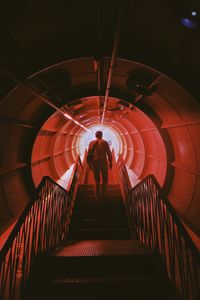 Rear view of man walking on staircase