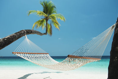 Beach hammock under palm trees on the maldives