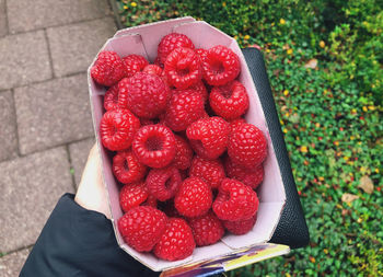 High angle view of hand holding strawberries