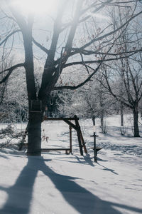 Bare tree in park during winter