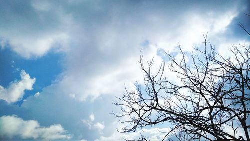 Low angle view of silhouette tree against sky