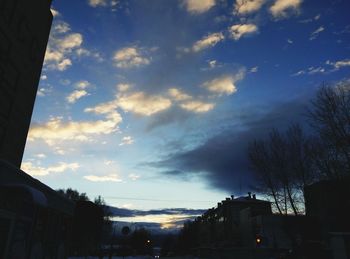 Low angle view of silhouette trees against sky