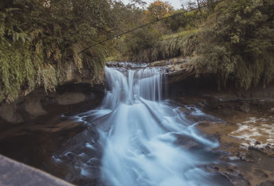 Waterfall in forest