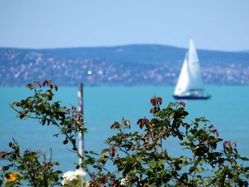 Scenic view of sea against clear sky