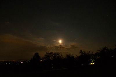 Low angle view of silhouette trees against sky at night