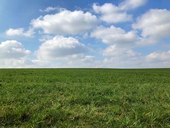 Scenic view of agricultural field against sky