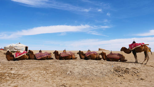 Panoramic view of people on the beach