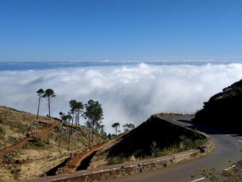 Panoramic shot of road amidst trees against sky