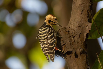 Close-up of bird perching on plant