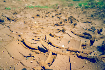 Full frame shot of mud on sand
