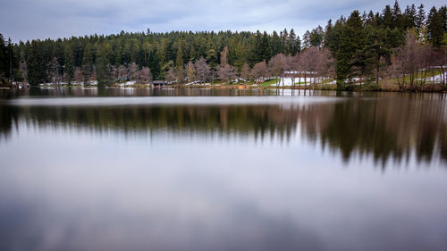 Scenic view of lake in forest against sky