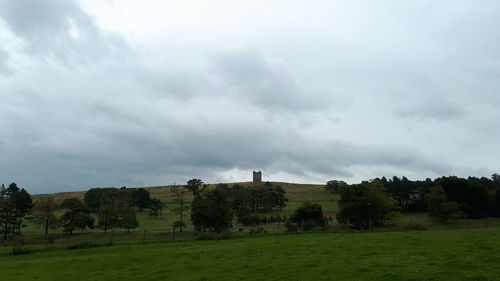 Trees on field against sky