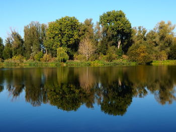 Reflection of trees in lake against clear sky