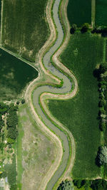 High angle view of agricultural field