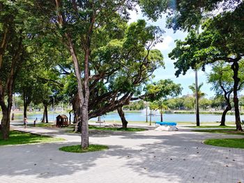 Trees at beach against sky