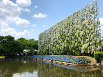 Scenic view of river by trees against sky