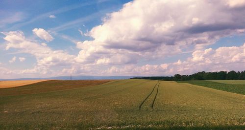 Scenic view of field against cloudy sky