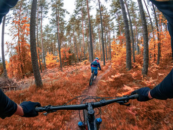 Gopro first person view following a woman mountain biking on footpath in forest in autumn.