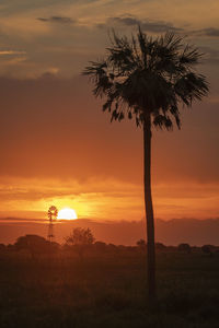 Silhouette palm trees against sky during sunset