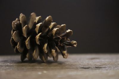 Close-up of dried fruits on table against black background