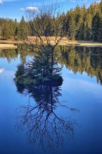 Reflection of trees in lake against sky