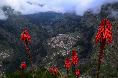 High angle view of village in portugal