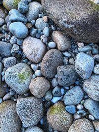 High angle view of stones