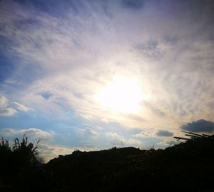 Low angle view of silhouette trees against sky during sunset