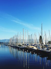 Sailboats moored in harbor against blue sky