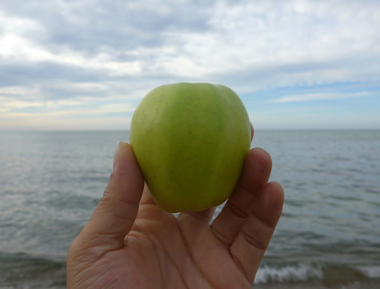 person, holding, part of, sea, sky, cropped, personal perspective, horizon over water, food and drink, unrecognizable person, human finger, lifestyles, leisure activity, water, focus on foreground, freshness, cloud - sky