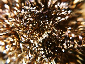 Close-up of christmas tree at night