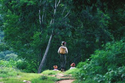 Rear view of woman carrying basket in forest