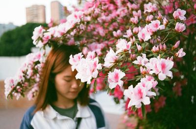 flowering plant