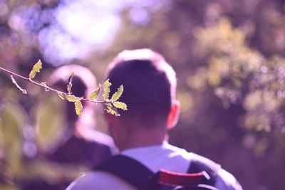 Rear view of a girl on tree