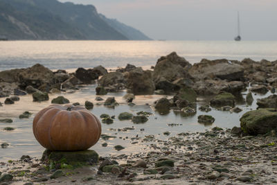 Close-up of pumpkin on rock by sea and mountain against sky