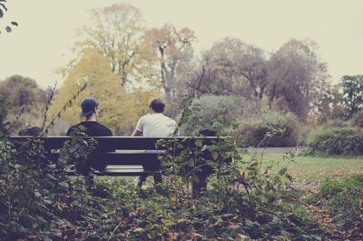 Rear view of woman sitting on bench